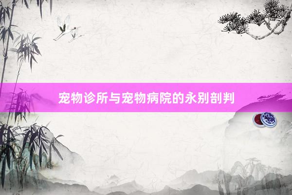 宠物诊所与宠物病院的永别剖判